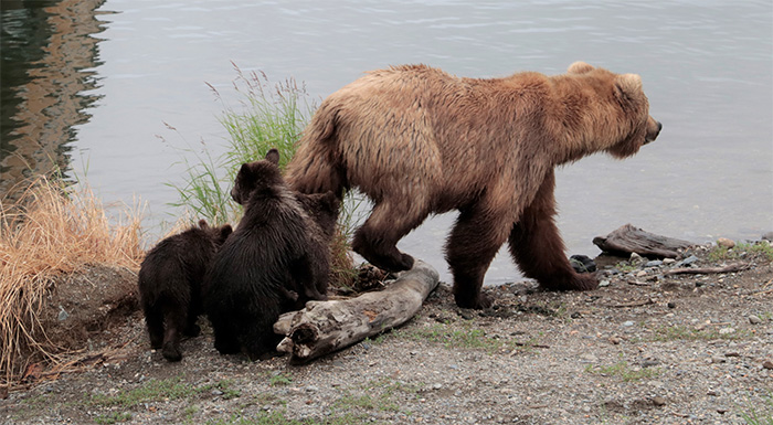 Mietwagen katmai